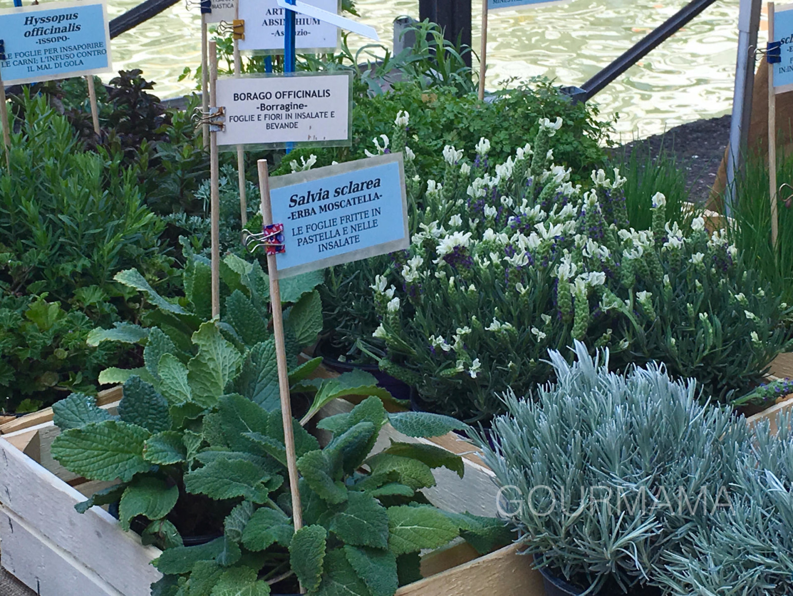 Fiori e Sapori sul Naviglio Grande, gourmama