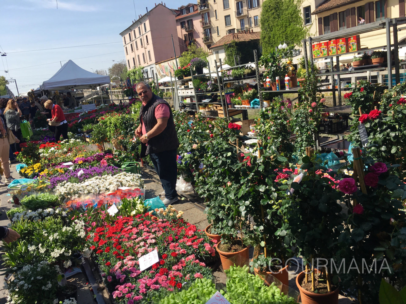 Fiori e Sapori sul Naviglio Grande, gourmama