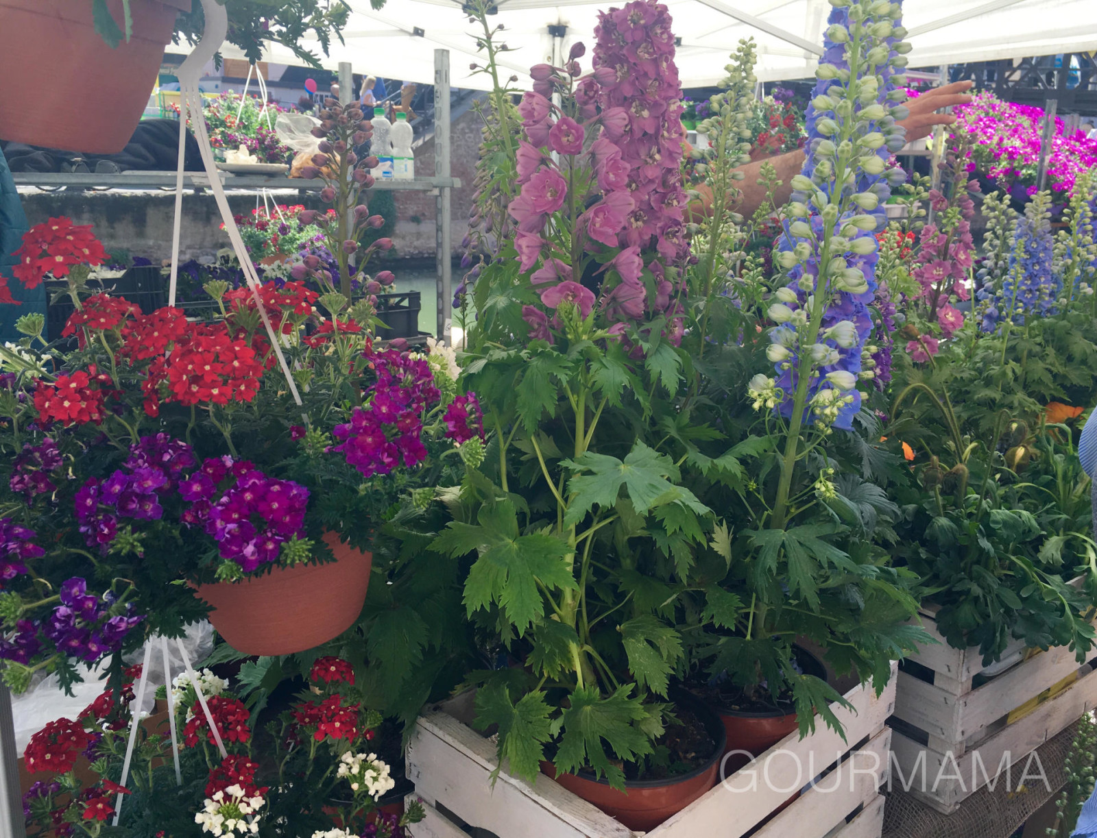 Fiori e Sapori sul Naviglio Grande, gourmama