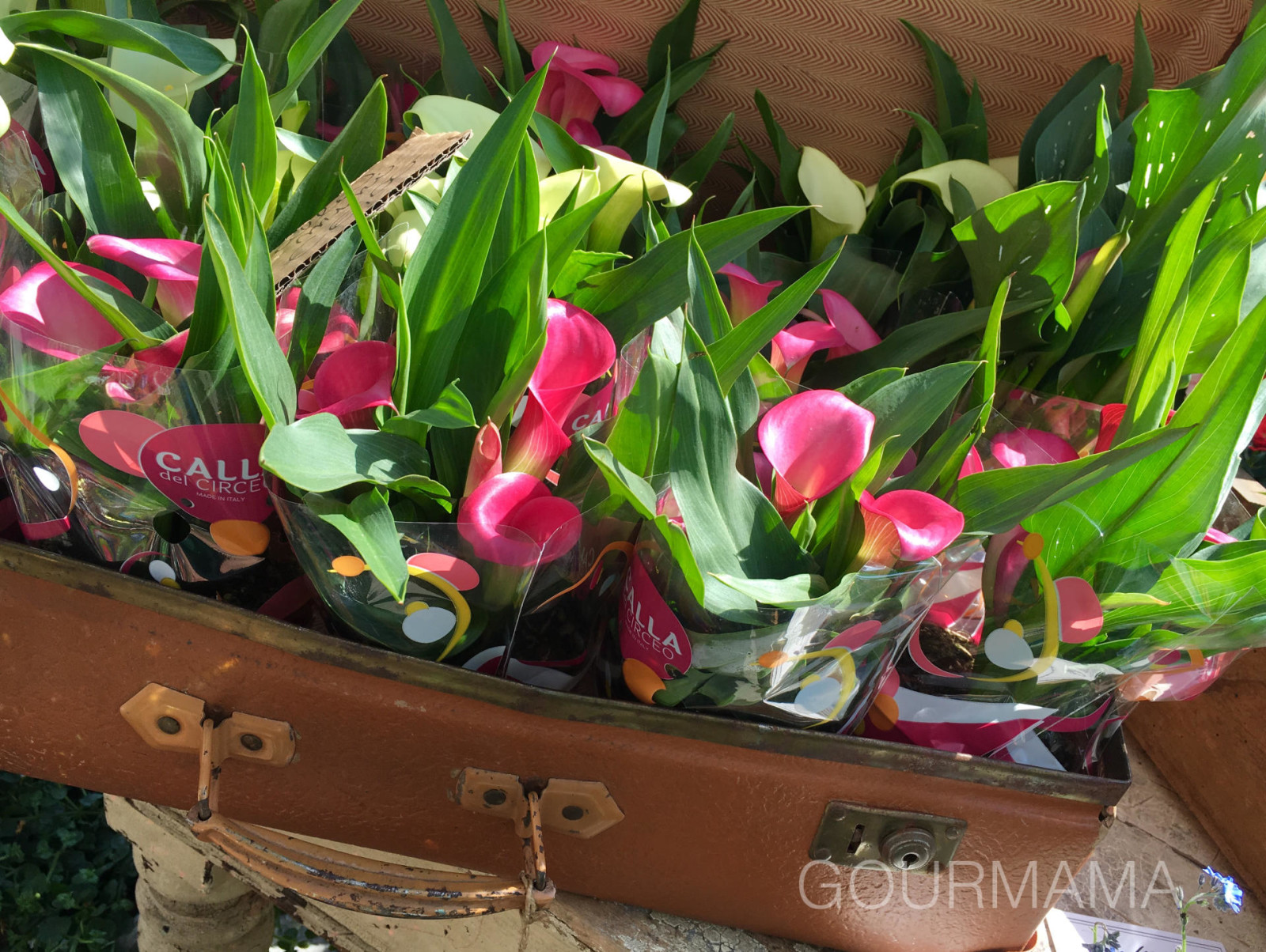 Fiori e Sapori sul Naviglio Grande, gourmama