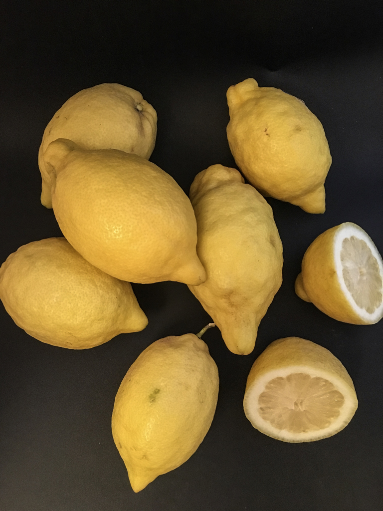 limoncello limoni