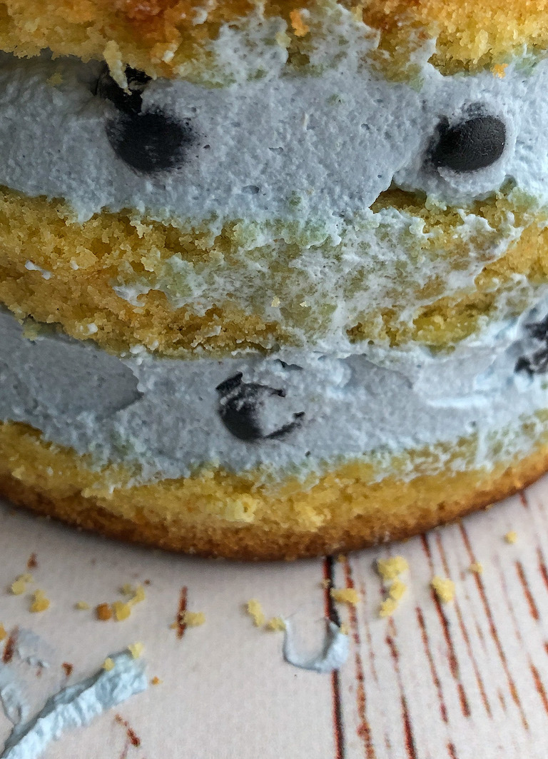 sponge cake ai mirtilli e butterfly pea preparazione_6